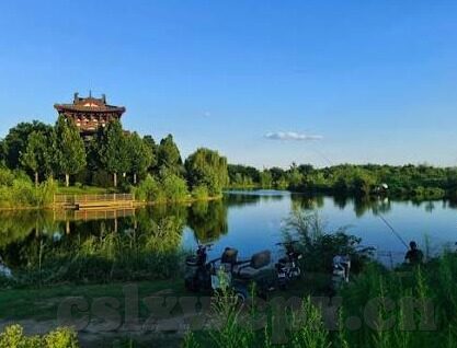 91av在线麻豆-探索91av在线麻豆现象的社会文化背景