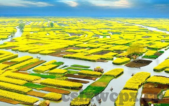 91麻豆国产级在线-激荡国产影视业的新浪潮，91麻豆国产级在线的数字化转型