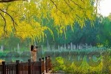av中文字幕在线-探索AV中文字幕在线的多元视角与文化交融