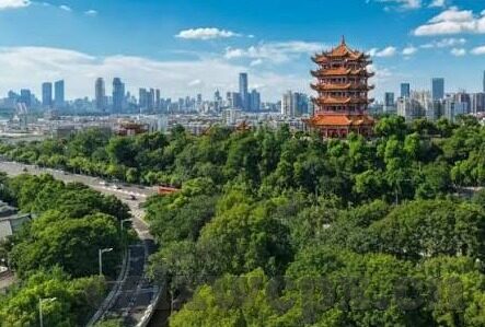 麻豆传媒app下载安装苹果-探索新媒体时代下的非正式内容——以麻豆传媒App在苹果设备上的下载与安装为例