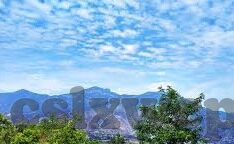 麻豆传媒台湾-麻豆传媒与台湾，光影交错下的文化交融
