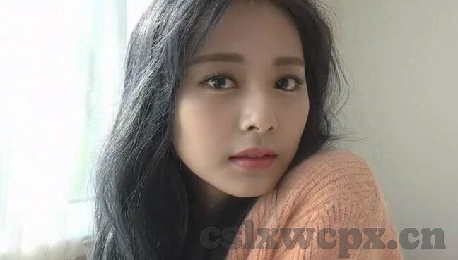 麻豆视频app官网版-揭秘互联网新宠，麻豆视频app官网版——视听盛宴的深度体验