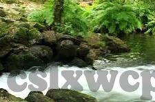 麻豆印映传媒-麻豆印映传媒，创新的影视桥梁与文化传播新航向