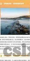 全球最大成人网免费视频-全球最大成人网免费视频，网络时代的隐秘角落