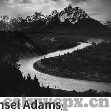 糖心app官网导航-糖心app的导航艺术，精致生活与社交的完美结合