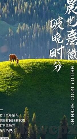 糖心app域名-揭开糖心APP的甜蜜神秘面纱，深入解析其域名背后的真相
