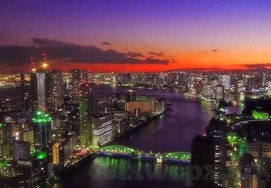 糖心视频app官网入口汅-一篇围绕探秘网络娱乐的向导——沉浸在数字世界的多元体验的探索