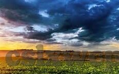 无码麻豆av在线-探索网络世界的多样性，关于网络内容与个人素养的思考