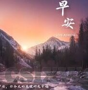 映画网ady中文字幕-映画网ady，中文字幕的魅力与挑战